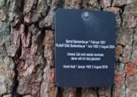 ein Bild aus dem Album