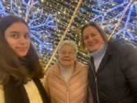 das zu meldende Bild